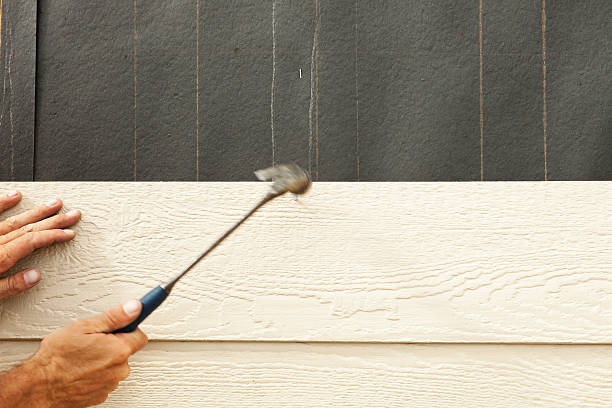 Best Steel Siding Installation  in Pearl Beach, MI